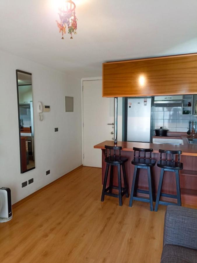 Apartamento Bellavista Dardignac 28 Santiago
